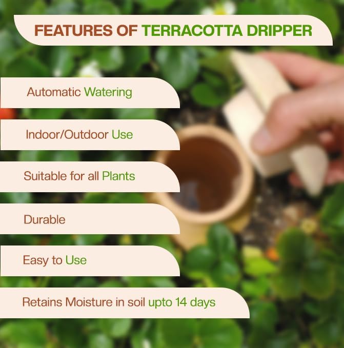 Village Decor Terracotta Water Dripper/Self Watering Terracotta Pot Automatically Water Your Plants While on Vacation