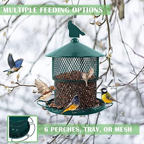 Metal Bird Feeder for Outside Hanging, Bird Feeders Squirrel Proof, 4 Lbs Capacity Iron Mesh Durable Wild Outdoor Birdfeeder with 6 Perches for Finch Cardinals,Gifts for Birds Lovers- Green