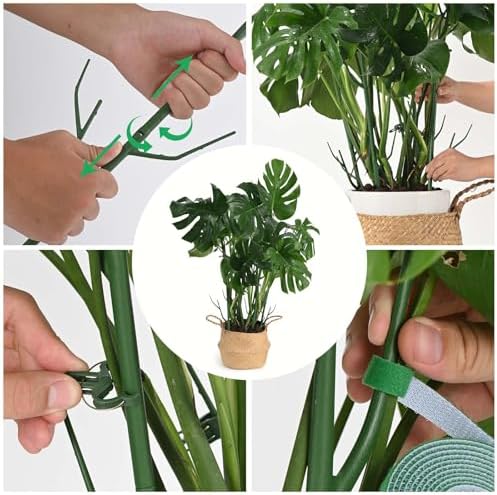 Yhtpouqe 12 Pack Plant Support Stakes, Plant Stakes for Indoor and Outdoor Plants. 39.37inch Plant Sticks with Extension Poles, Plant Clips, Plant Ties for Potted Monstera Plants, Climbing Plants