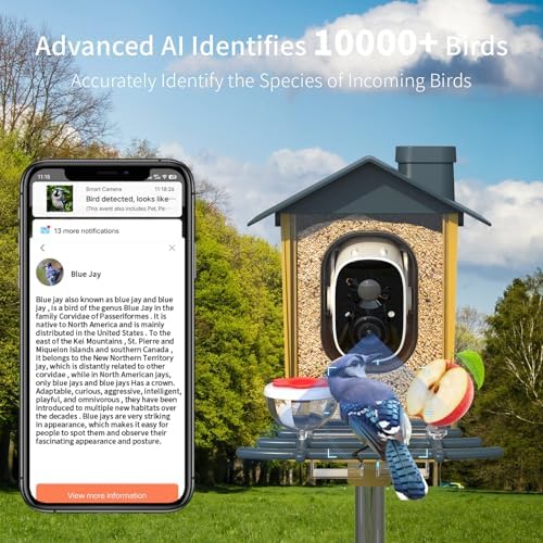 Bird Feeder with Camera - AI Identify Bird Species, Auto Record Bird Video