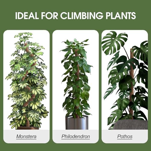 2 Pack Moss Pole 28 Inch Monstera Plant Sticks Support Tall Long Stakes