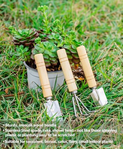 Josteve 5Pcs Succulent Tools Mini Garden Small Gardening Tools Indoor, Pruning Shear Gardening Scissors, Hand kit for Bonsai, Cactus, Fairy, Houseplant of Transplanting, Repotting, Seedling Soil
