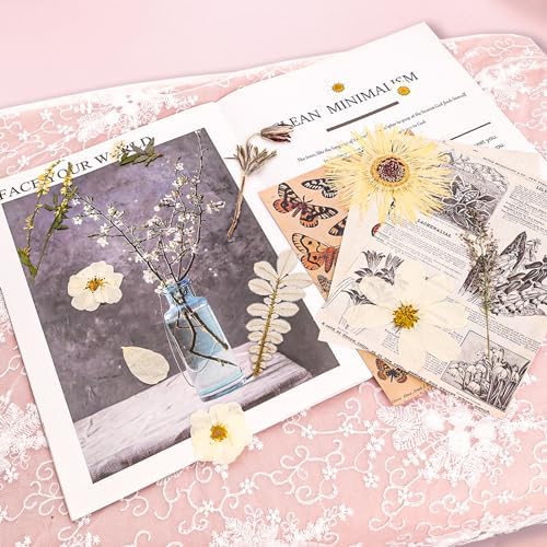 50Pcs Dried Pressed Flowers Real Pressed Flowers Natural Dry Leaves Bulk Mixed Colorful Herbs Kit with Tweezers for Scrapbooking DIY Candle Jewelry Crafts Making Nails (White)