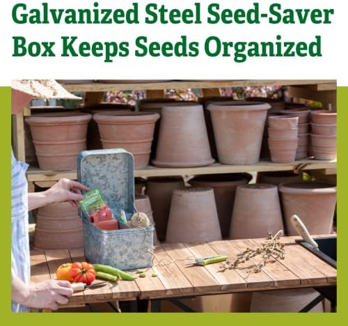 Gardener's Supply Company Galvanized Seed Saver Kit | 8" L x 6-1/2" W x 6-3/4" H Steel Box Keeps Seeds Organized | Includes Paper Envelopes and Dividers