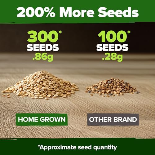 HOME GROWN Beefsteak Tomato Seeds, 300+ Seeds, Solanum lycopersicum