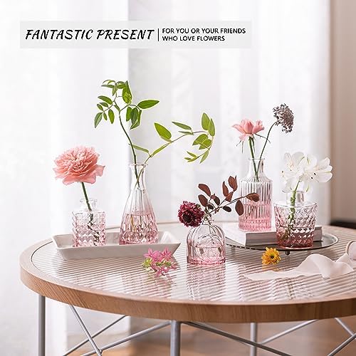 SUPMIND Glass Bud Vases Set, 12pcs Pink Small Flower Vases in Bulk