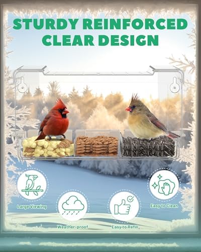 Clear Window Bird Feeder Outdoors - Bird Feeder for Viewing with 5 Perching Stands, Self-Adhesive Hooks, Drain Holes and Removable Tray, as a Birdhouse, Garden Decor
