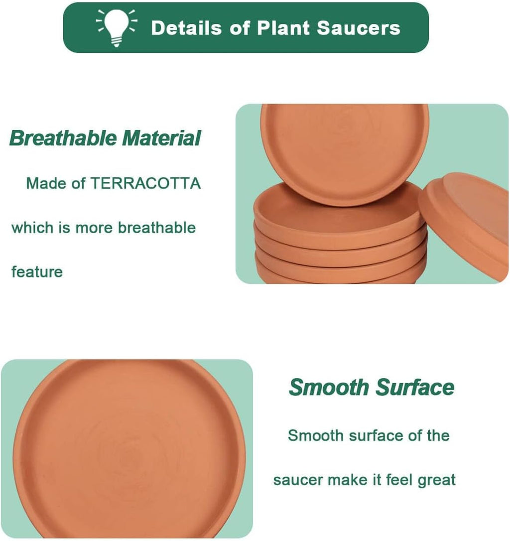 6 Inch Terracotta Plant Saucers, 6 Pack Small Clay Trays for Pots | 6 pack small terracotta planter saucers for 6 and