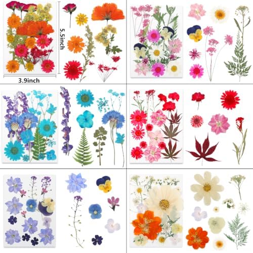 428 Pcs Dried Pressed Flowers for Resin,Real Nature Dried Flowers for Craft