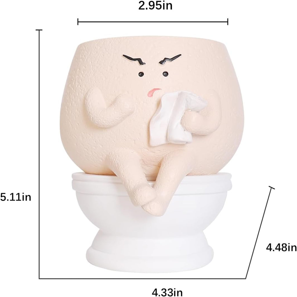 NINIPAPA Funny Face Toilet Planter with Drainage Hole for Indoor Plants, Cute Self Watering Plant Pot for Succulent