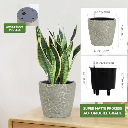 Dexceder 9x8 Self Watering Planter (Grey Gold Crackle)