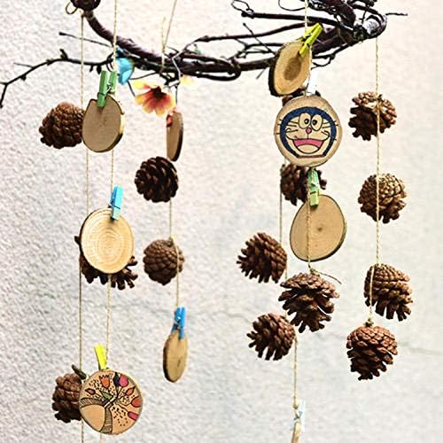 25 Pack Natural Pine Cones for DIY Christmas Tree Fall Decor