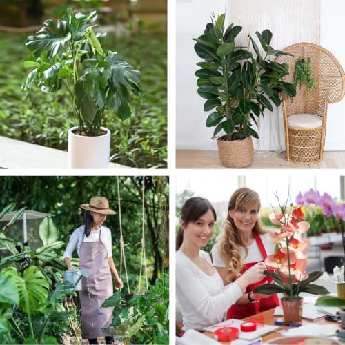 Yhtpouqe 12 Pack Plant Support Stakes, Plant Stakes for Indoor and Outdoor Plants. 39.37inch Plant Sticks with Extension Poles, Plant Clips, Plant Ties for Potted Monstera Plants, Climbing Plants