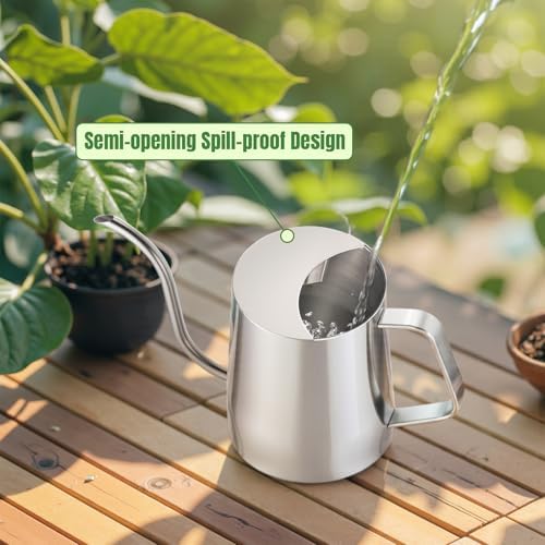 Doseno Small Watering Can for Indoor Plants, Metal, Long Spout, 34 oz/1 L