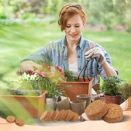 36 Pcs Invisible Pot Feet, 1.6 * 1.8 Inch Plant Pot feet Risers with Non Slip Surface,Sturdy Cork Plant Pot Feet Solid Corkwood Planter Pot Lifter for Indoor Outdoor Plants Pots