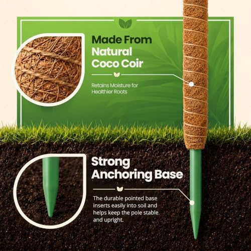 63'' Moss Pole Monstera Plant Support for Climbing Indoor Plants