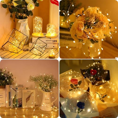 24 Pack Fairy Lights Battery Operated 7FT 20 LED String Lights Warm White