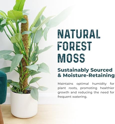 2pcs 42'' Real Forest Moss Pole Monstera Plant Support -Moisture Retaining