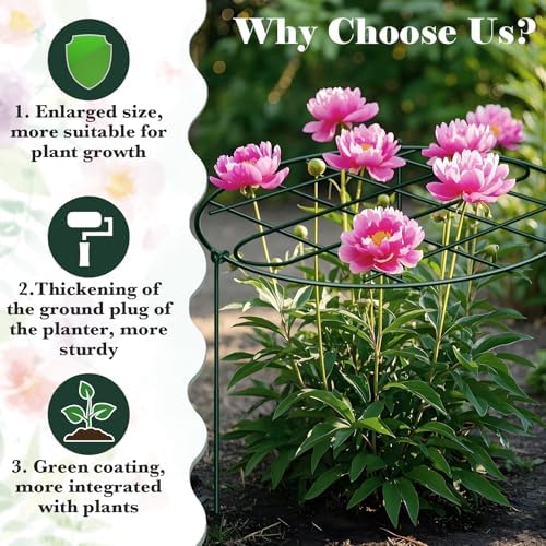 3 Pack 24 x 29.5 Inch Peony Cages and Supports for Outdoor Plants