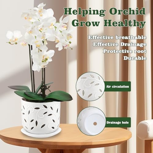 BUYMAX 5&6in Ceramic Orchid Pots with Holes&Saucers Root Care Planter