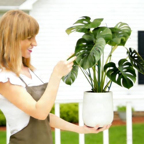 Stackable Plant Support for Home Gardening Indoor Outdoor, 5Pack