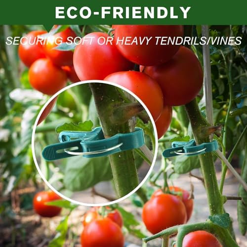 Plant Clips for Climbing Plants, Garden Support for Tomatoes & Vine