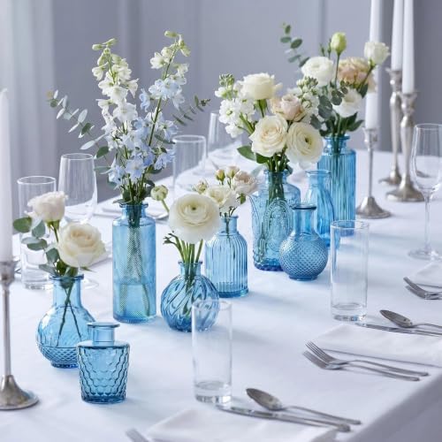 Mini Bud Vases Centerpieces for Tables,Clear Bud Vases for Flowers,Small Flower Vases Suitable for Birthday Party,Anniversary,Wedding Reception,Baby Shower (Blue, 12PCS)