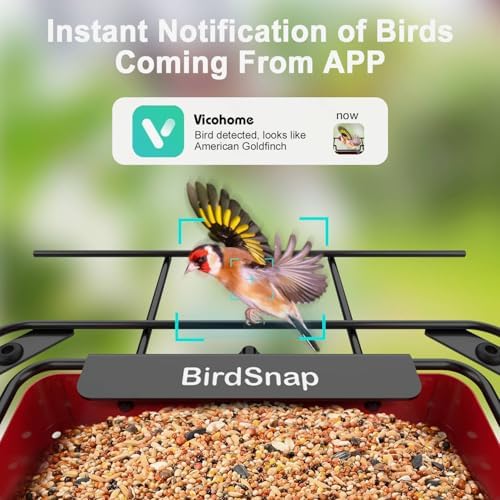 birdsnap® APS Metal Bird Feeder with Camera Solar 2K Video with 32GB Card