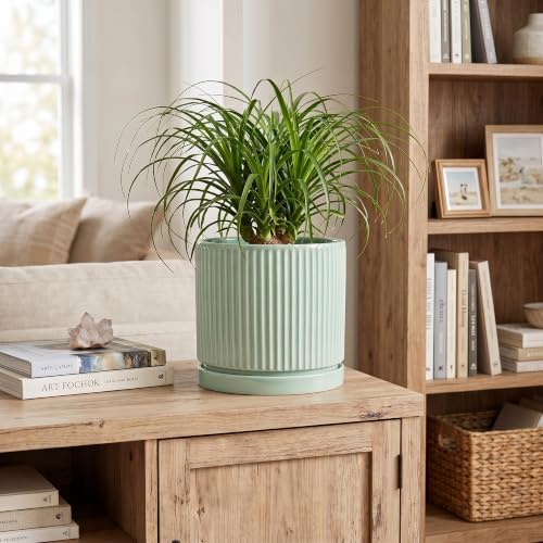 Ceramic Plant Pots, 8 Inch Pots for Plants with Saucer, Mint Green