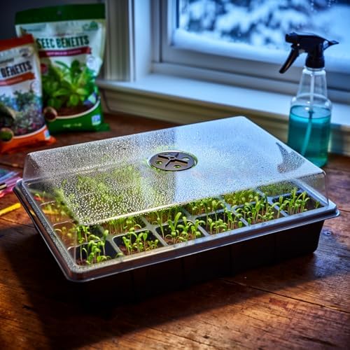 5-Pack Seed Starter Trays with Humidity Dome & Large 24-Cell Plug Trays