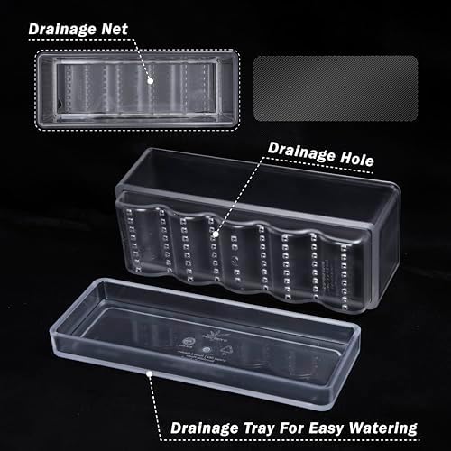 D'vine Dev Rectangular Planter, 12 x 4.5 in, Clear, Set of 1, 76-X-D-1