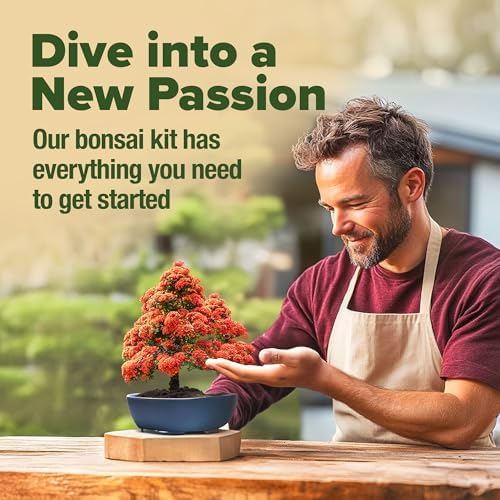 HOME GROWN 6 Bonsai Tree Starter Kit, Indoor Growing & Christmas Gift