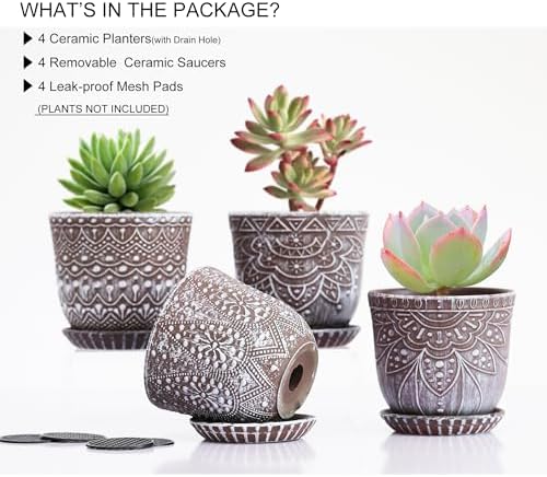 Gepege Ceramic Succulent Pots, 4 Inch Small Plant Pots with Drainage