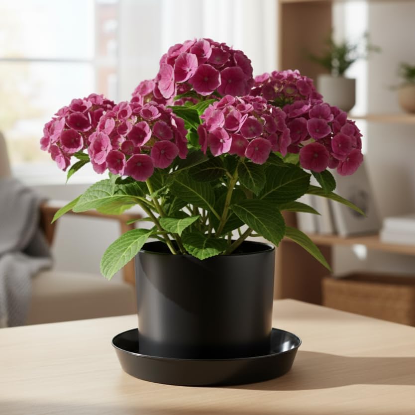12 Inch (10.1 Inch Base), Black, Case of 10 Plant Saucer | Polypropylene, Heavy Duty Indoor/Outdoor, Drip Pan & Tray