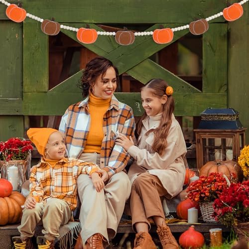 DAZONGE Fall Decor Felt Pumpkin Beads Garland for Fall Home Decorations