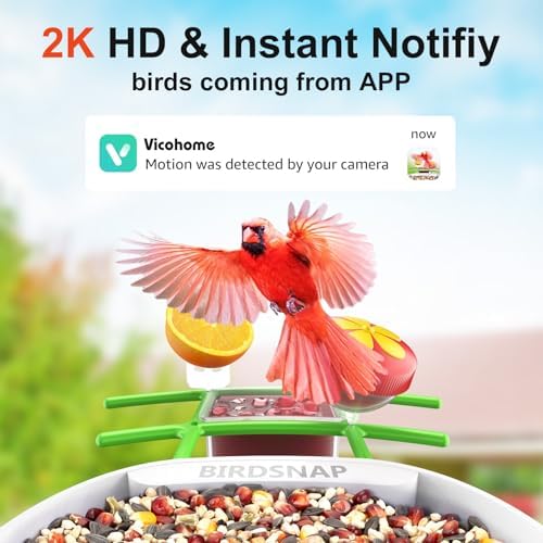 birdsnap® PAV Bird Feeder with Camera Solar Powered 2K Live Video 64GB Card