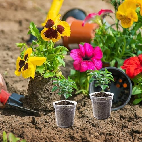 120 Pcs 2 Inch Clear Nurery Pots, Seedling Pots with Drainage Holes