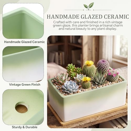 12 Inch Rectangular Ceramic Shallow Succulent Planter with Tray, Green