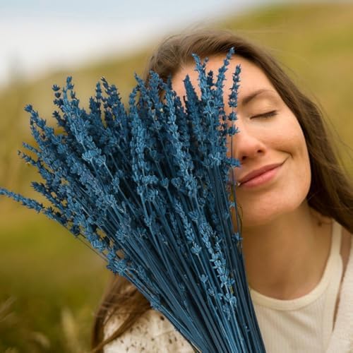 Glicrili Dried Lavender Flowers Real Stems Blue Bouquet for Vase Decor