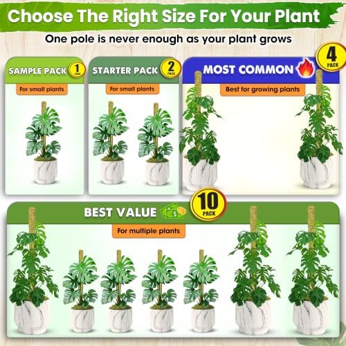 DUSPRO 4 Pack 22" Natural Stackable Moss Pole for Plants Monstera