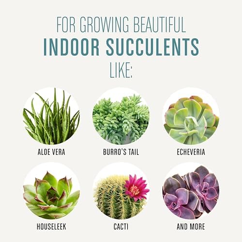 Gro Succulent Potting Mix, 4 qt.
