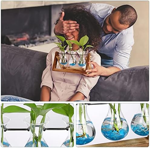 Plant Propagation Station Accessories, 2 Pack Glass Hyacinth vase