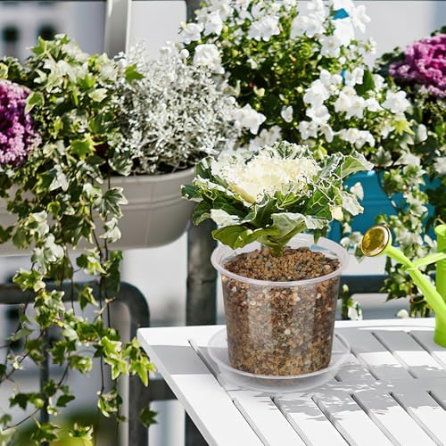 20 Pack 5 Inch Clear Nursery Pots with Drainage and Saucer, Clear Plastic Planter Pots for Plants, Flexible Seed Starting Pots for Succulents, Small Herbs, Annual Flowers (5 Inch)