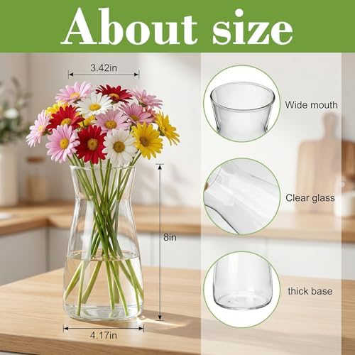 8 inch Glass Flower Vases for Flower 2 Pack,Clear Glass Vases