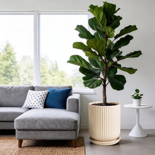 Deep Dream 12 Inch Ceramic Pots for Plants, Heavy Plant Pot for Indoor Outdoor Plants, Large Plant Pot with Drainage Hole and Saucer, Modern Tall Flower Pot, Gifts for Plant Lovers, Cream