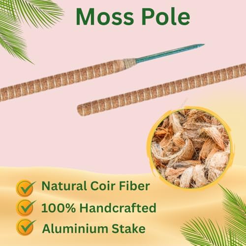 2 Pack 50" Bendable Moss Pole Monstera Plant Support for Climbing Plants