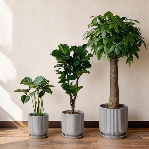 Deep Dream 10 Inch Ceramic Pots for Plants, Heavy Plant Pot for Indoor Outdoor Plants, Large Plant Pot with Drainage Hole and Saucer, Modern Tall Flower Pot, Gifts for Plant Lovers, Grey