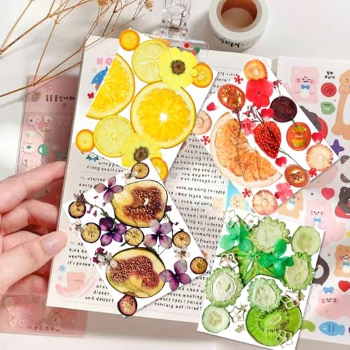 70PCS+ Nature Dried Pressed Fruits Flowers for Resin Mold, Real Dry Pressing Floral Set for DIY Jewelry Making Nail Card Scrapbook Art Craft Fruits Style