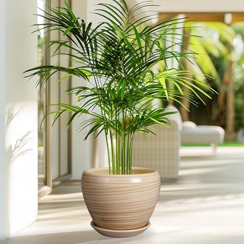 Ceramicfor Planter Pot 8 Inch, Ceramic Pot for Plants, Yellow