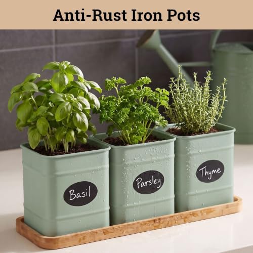 Herb Planter Indoor, 3-pc Herb Pots w/ Drainage Holes, Bamboo Tray & Labels